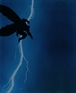 Grandes autores de Batman: Frank Miller Box Set